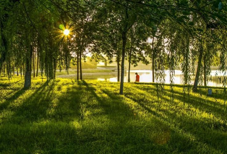 简单平静的生活图片 简单平静的生活图片带字