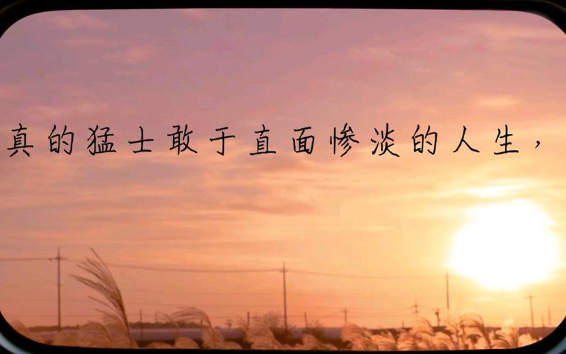 生活惨淡的图片 生活惨淡的图片带字