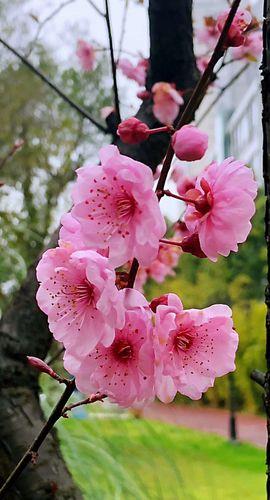 美丽生活的图片 美丽生活的图片带字