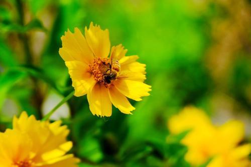 美丽生活的图片 美丽生活的图片带字