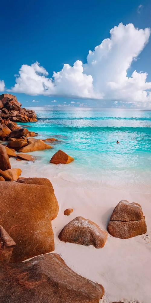 美丽生活的图片 美丽生活的图片带字