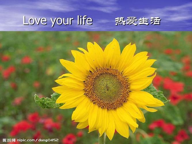 热爱生活图片带字 热爱生活的图片