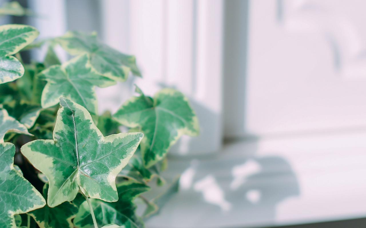 生活简单的图片唯美 生活简单的图片带字