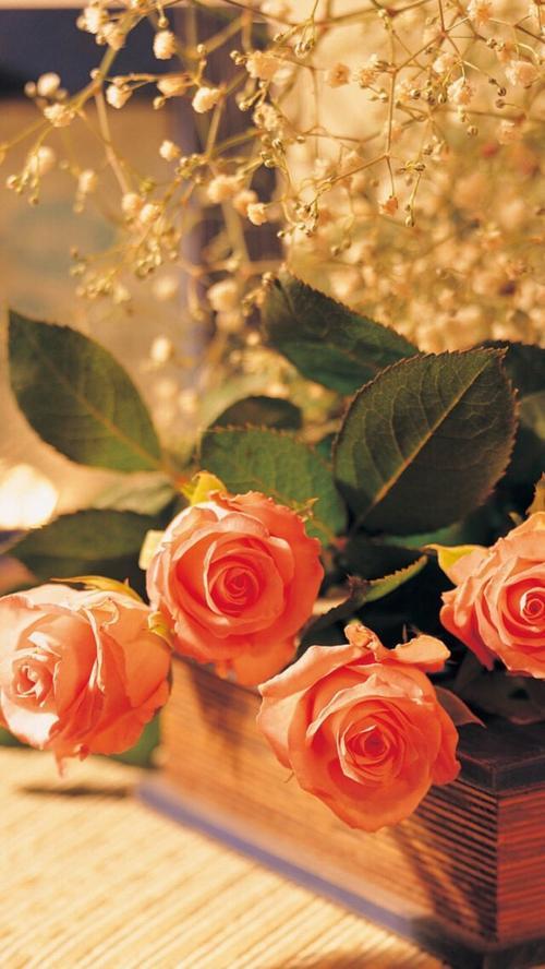 生活简单的图片唯美 生活简单的图片带字