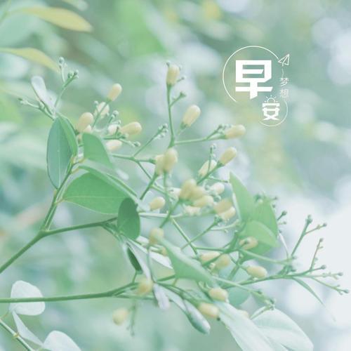 生活简单的图片唯美 生活简单的图片带字