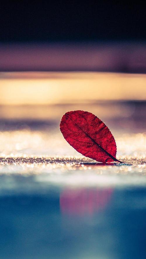 生活简单的图片唯美 生活简单的图片带字