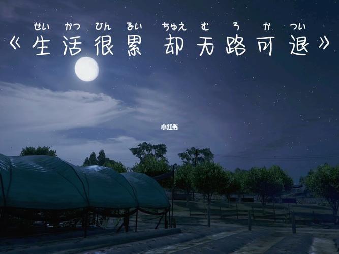 生活累的图片带字图片 生活累的图片和说说