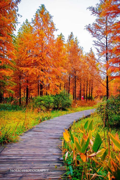 生活图片大全大图 生活图片大全大图带字