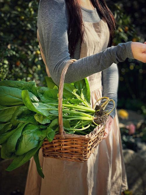 生活图片大全大图 生活图片大全大图带字