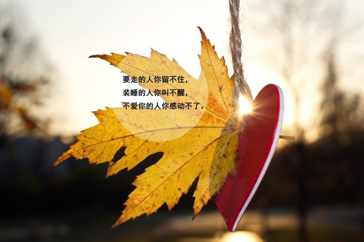 感悟人生图 感悟人生图片带字