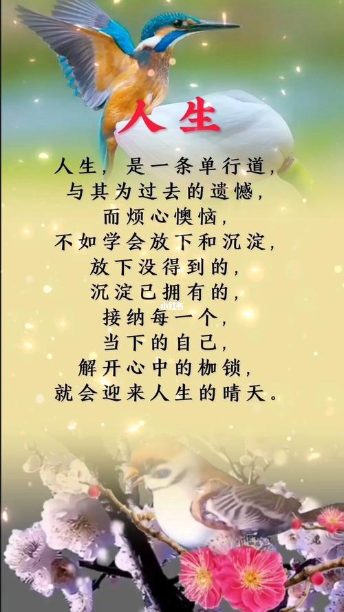 感悟人生图 感悟人生图片带字