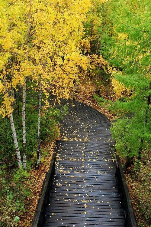 生活精美图片 生活精美图片带字