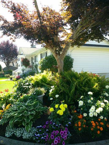 生活精美图片 生活精美图片带字