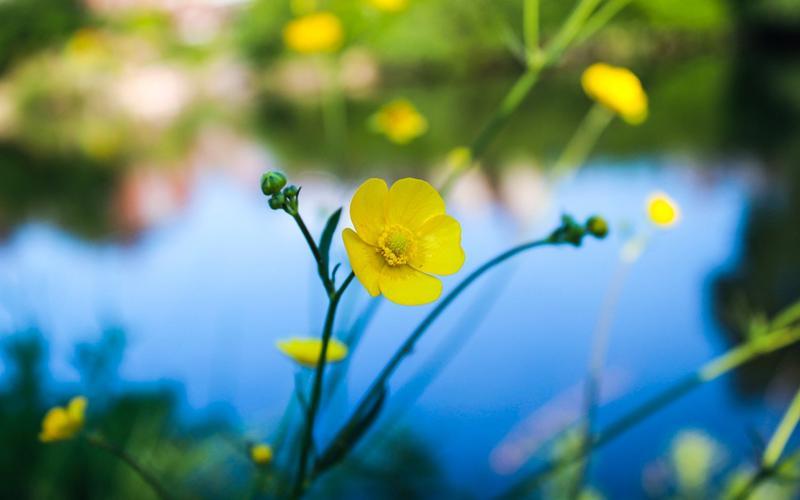 生活精美图片 生活精美图片带字