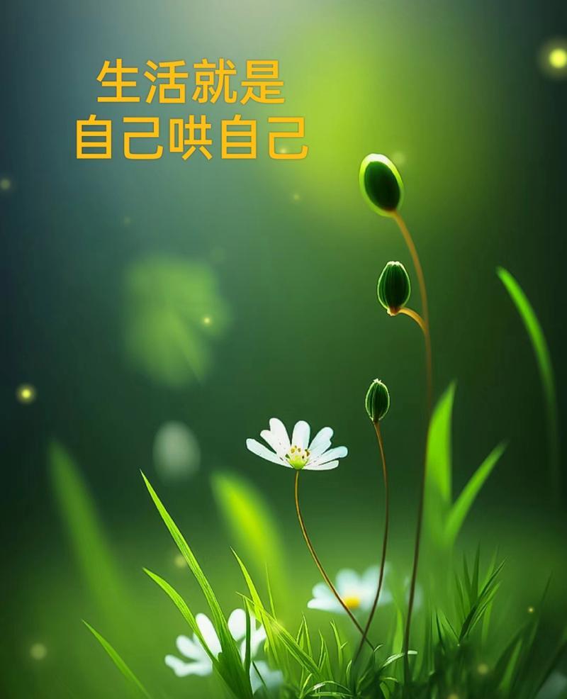 明白生活图片 明白生活图片带字