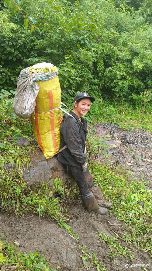 生活辛苦的图片 生活辛苦的图片带字