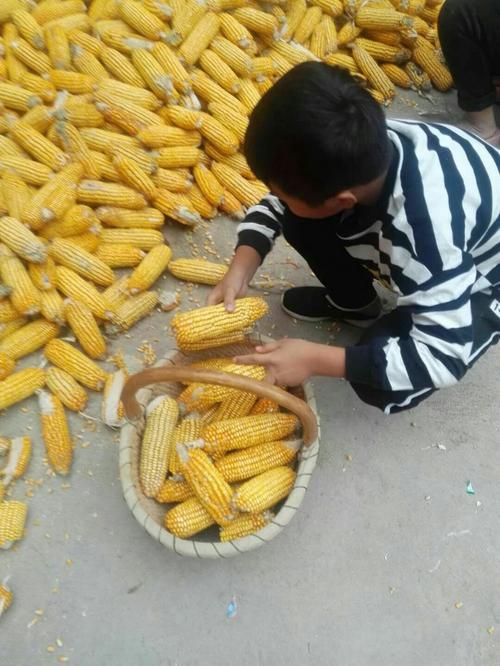 生活辛苦的图片 生活辛苦的图片带字