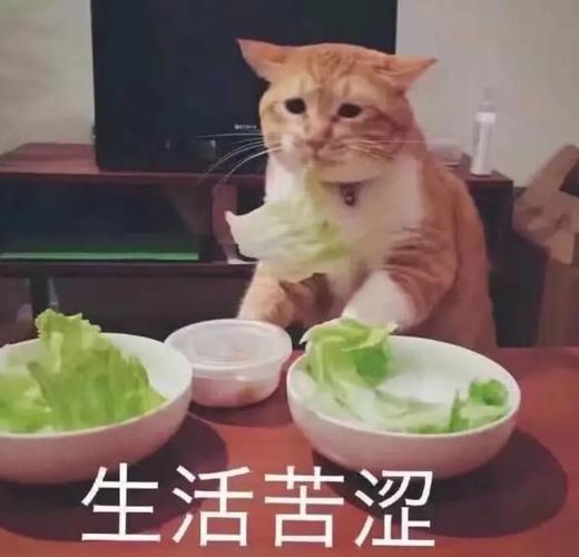 苦涩的生活图片 苦涩的生活图片带字