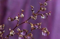 ​头痛短句说说心情 头痛的厉害的心情说说47句