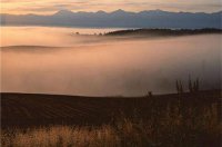 ​经典形容心情不好的句子