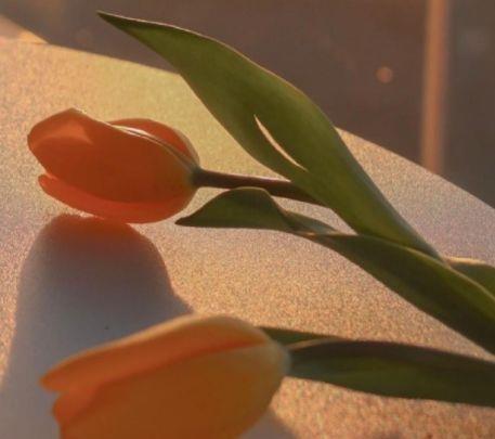 最美爱情句子表达心情