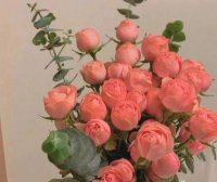 ​立冬发朋友圈的句子大全 立冬的朋友圈心情短句(精选64句)