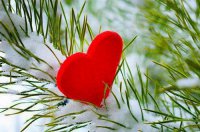 ​岁月不老精美句子友谊 愿时光不老的心情短语(65句)