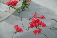 ​伤感的句子说说心情92句