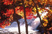 ​心情特别难受的句子 心情不好短句的朋友圈汇编80句