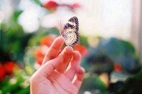 ​感情忧伤的句子说说心情(精选71句)