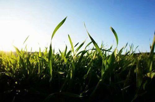 非主流伤感心情短语句子