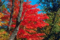 ​心情不好的伤感句子，句句心痛(27句)