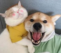 ​绿色植物的好心情好句 绿色植物心情美句(精选45句)