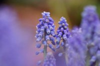 ​忧伤心情语录89句