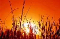 ​经典语录伤感心情92句