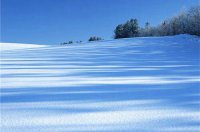 ​描写心情伤感的句子