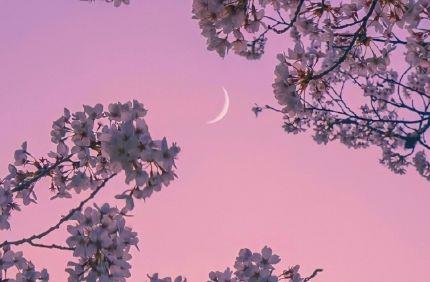 男生伤心时表达心情的经典句子