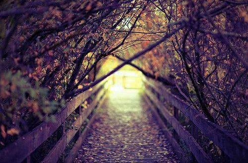 心情伤感的句子说说