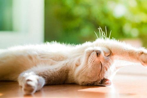 2015年心情说说感悟生活句子