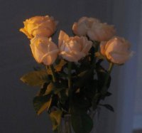 ​忽然好委屈的句子 好累好委屈的心情句子