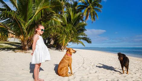 姜姓女孩诗意的三个字名字该怎么取