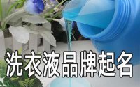 ​洗衣液自创牌子名字该怎么取