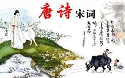 出自唐诗宋词的优雅气质又有诗意的女孩名字