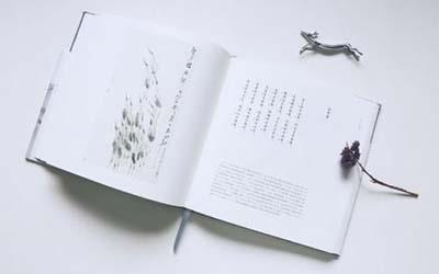 怎么用诗经楚辞唐诗宋词来给女孩取名字