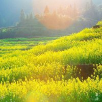 ​八字起名配置三才方法