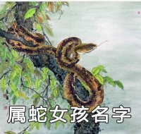 ​属蛇女孩取名字的最佳用字有哪些
