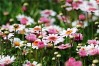 ​姓谢的历史人物有哪些？