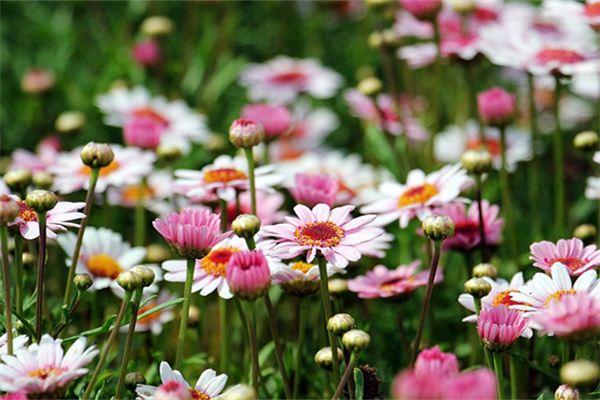 姓谢的历史人物有哪些?