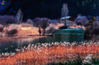 ​起名_带宥字的男孩名字大全