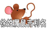 ​适合徐姓属鼠男孩使用的吉利名字有哪些
